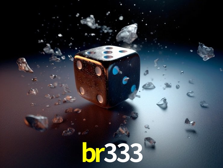 br333