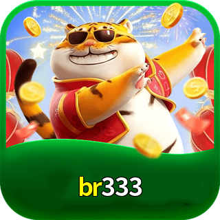 br333